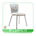 Dining chair IP-L22011C17